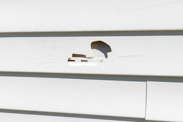 Affordable Siding Repair and Maintenance Services in Park City, IL